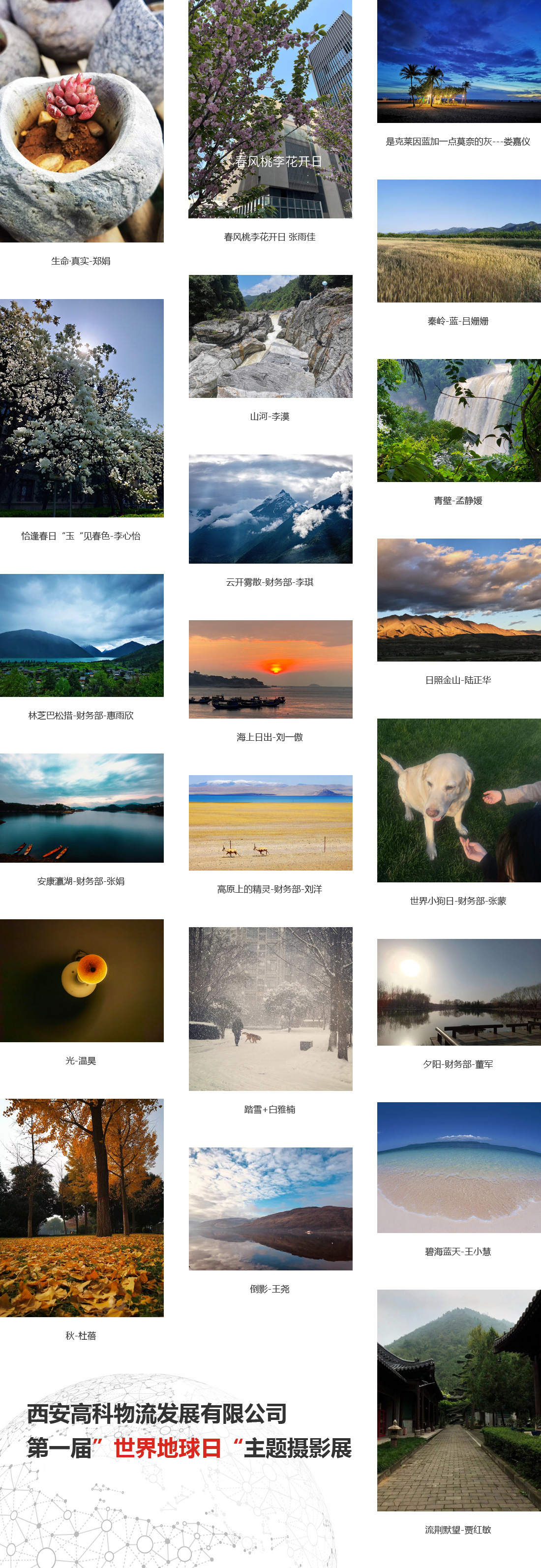 241650763558167996.jpeg img.jpg